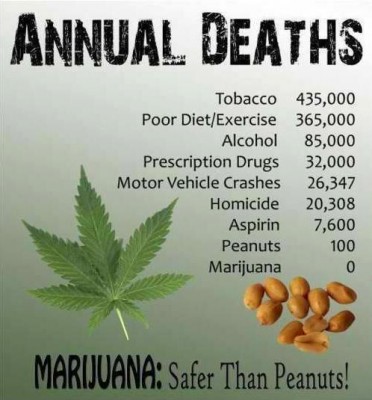 Annual Deaths From Marijuana